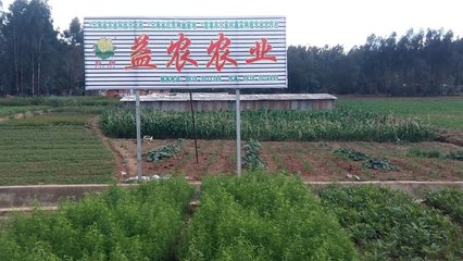 云南楚雄益農(nóng)農(nóng)業(yè)科技開(kāi)發(fā)