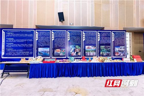 農博現場丨簽約金額超45億，湖南農業招商引資對接會助力中部農產品加工業發展